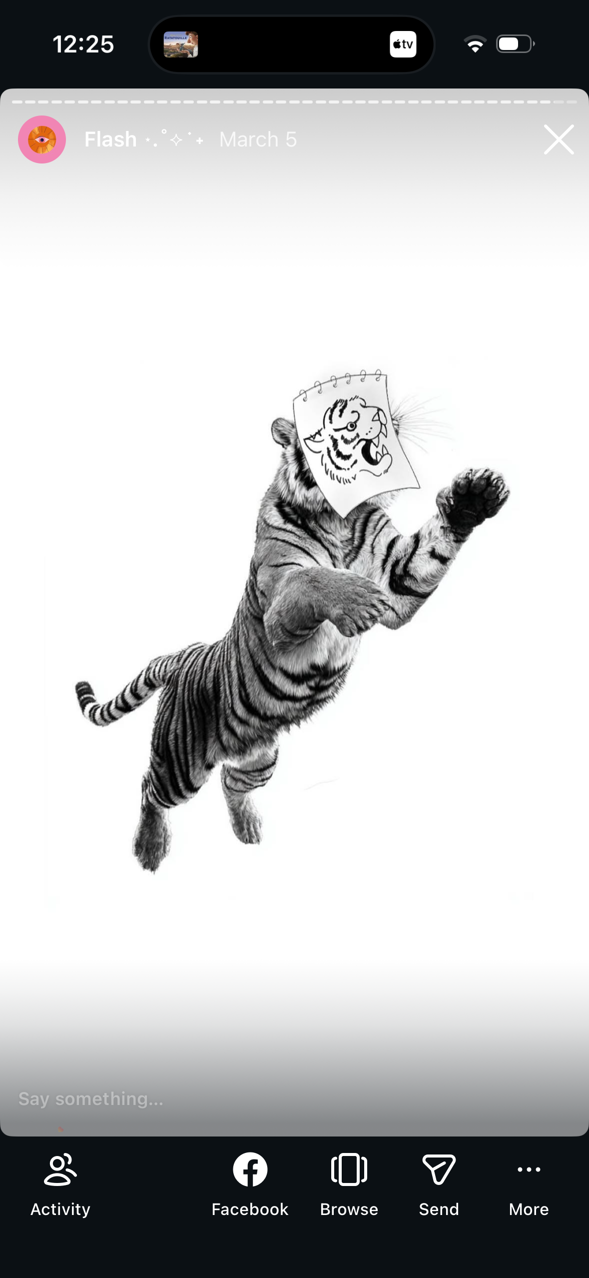 Tigre au Masque