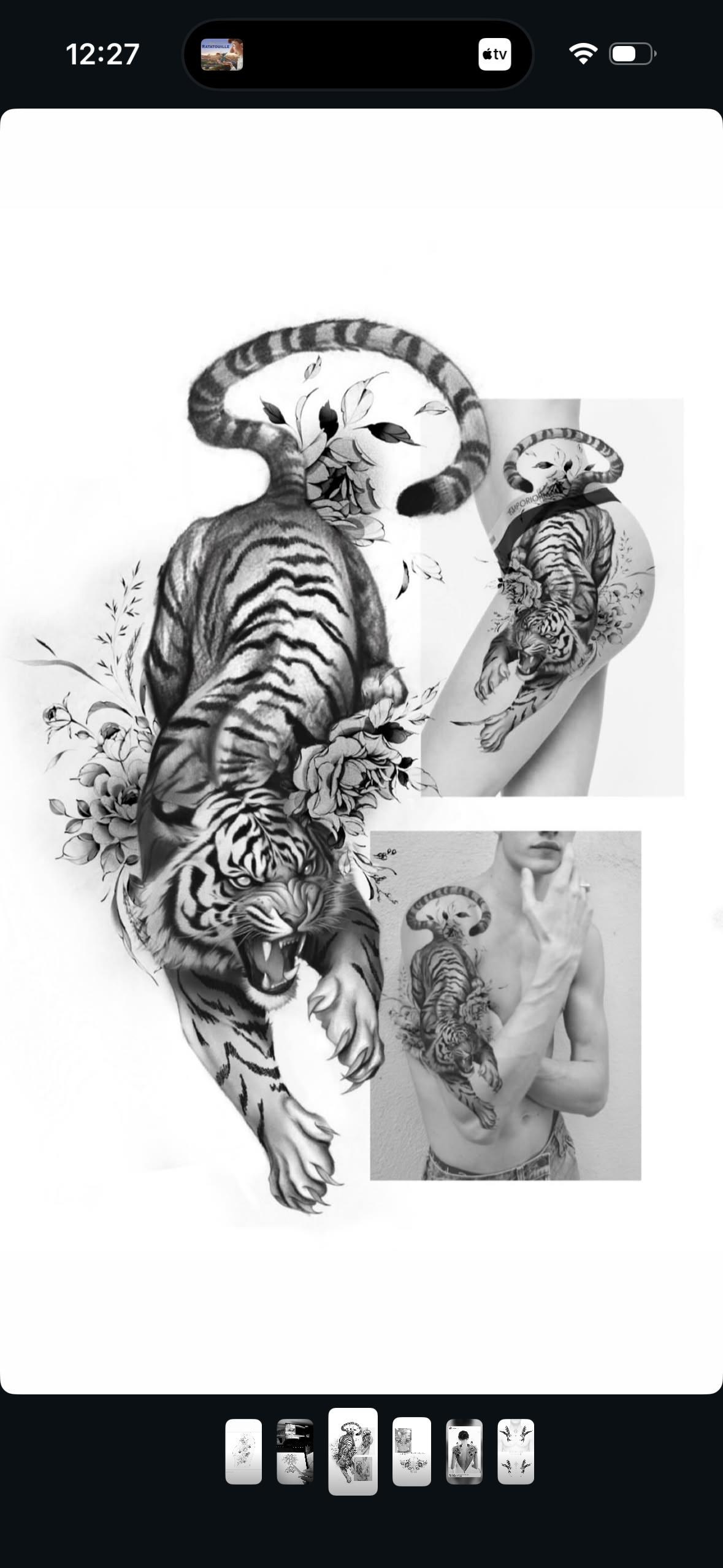 Le Tigre Royal