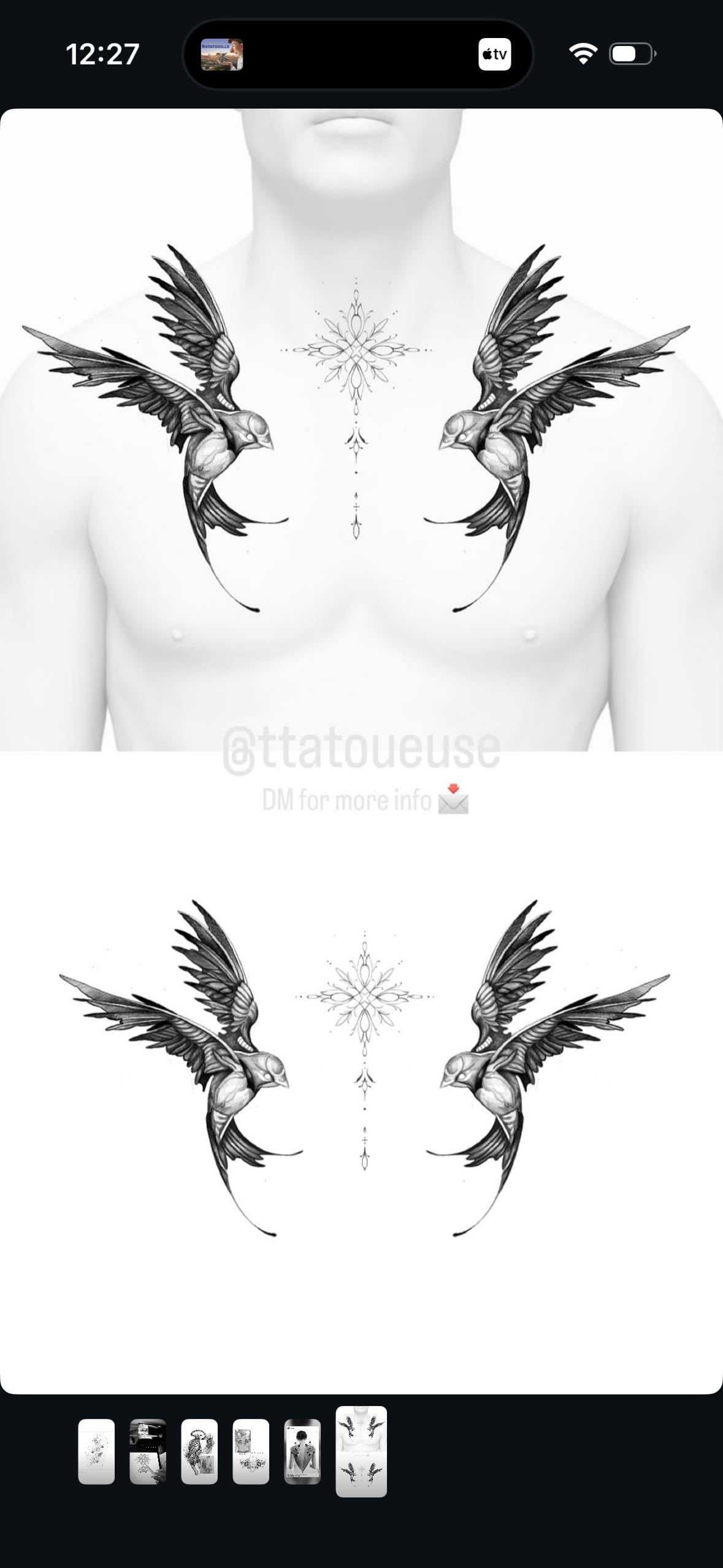 Oiseaux Chest